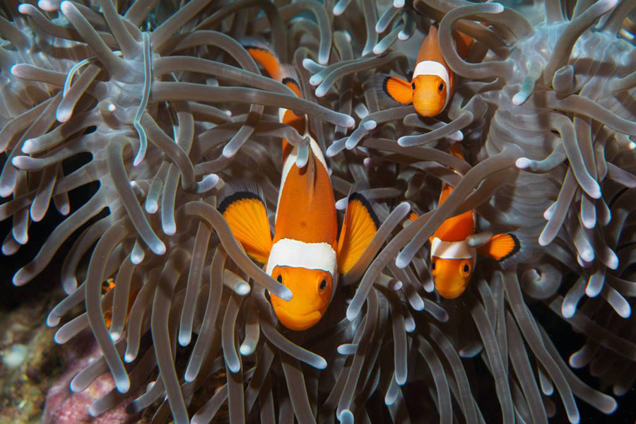 1590309636956241.jpg 6.jpg