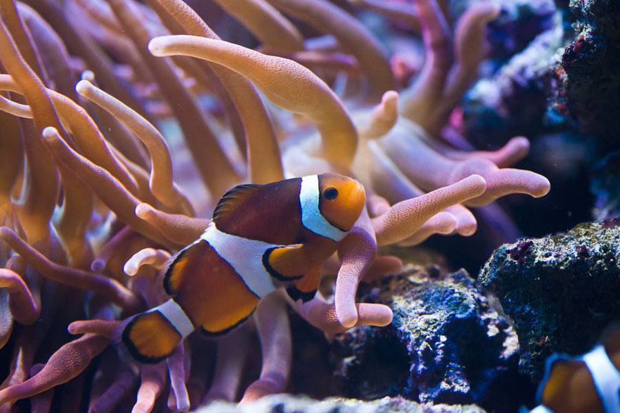 1590309856607896.jpg 111.jpg