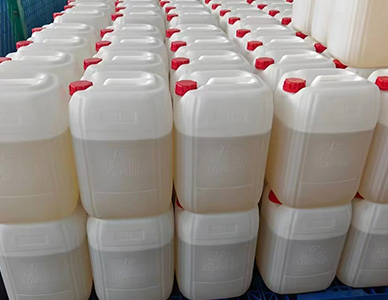 1768791192342012.jpg 9.jpg