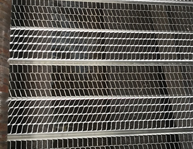 1773646375319901.jpg 有筋扩张网13.jpg